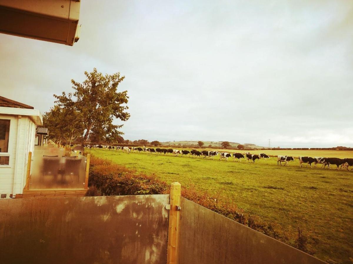 19 Park Views Just Outside Penrith For Holidays And Short Breaks Please No Commercial Vans Thankyou High Hesket Экстерьер фото
