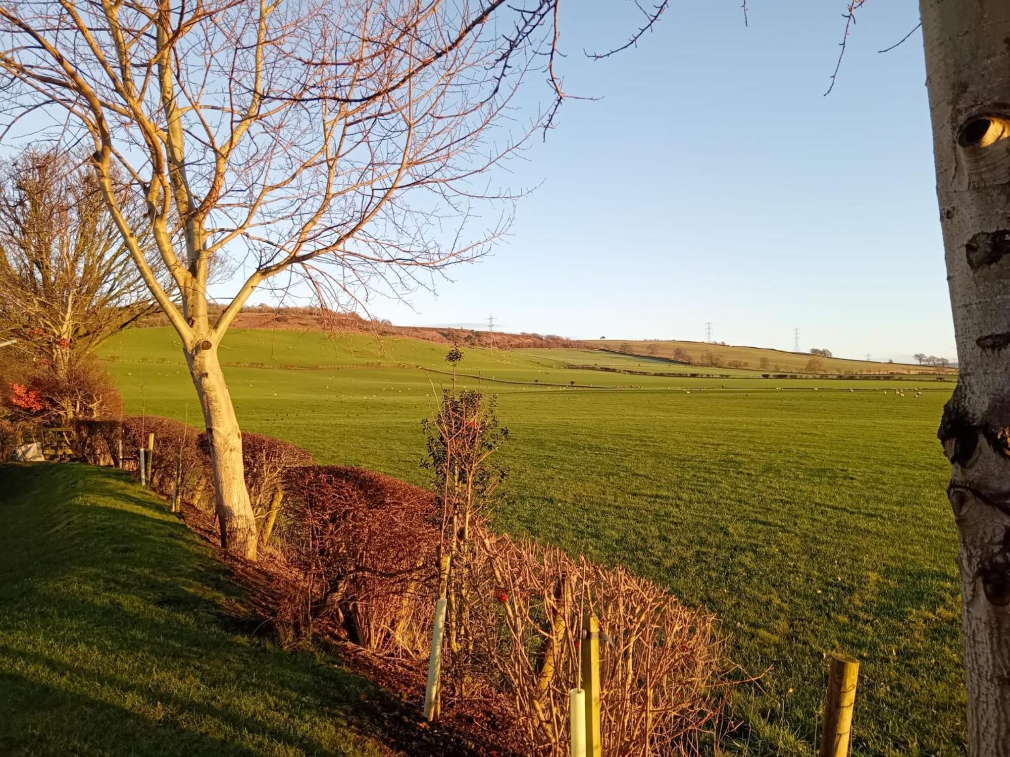 19 Park Views Just Outside Penrith For Holidays And Short Breaks Please No Commercial Vans Thankyou High Hesket Экстерьер фото